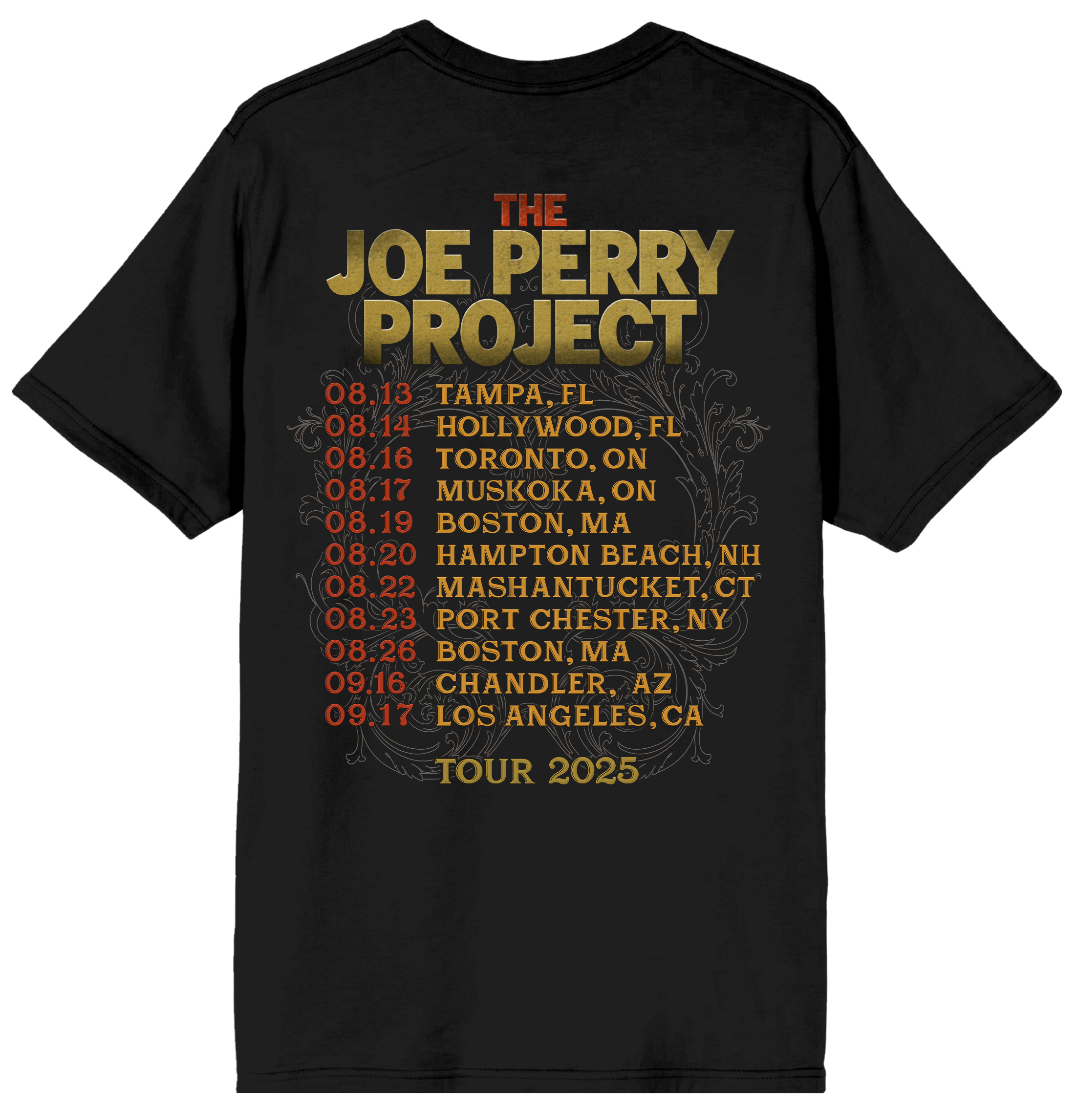 Black t-shirt with 'The Joe Perry Project' tour dates printed on the back.